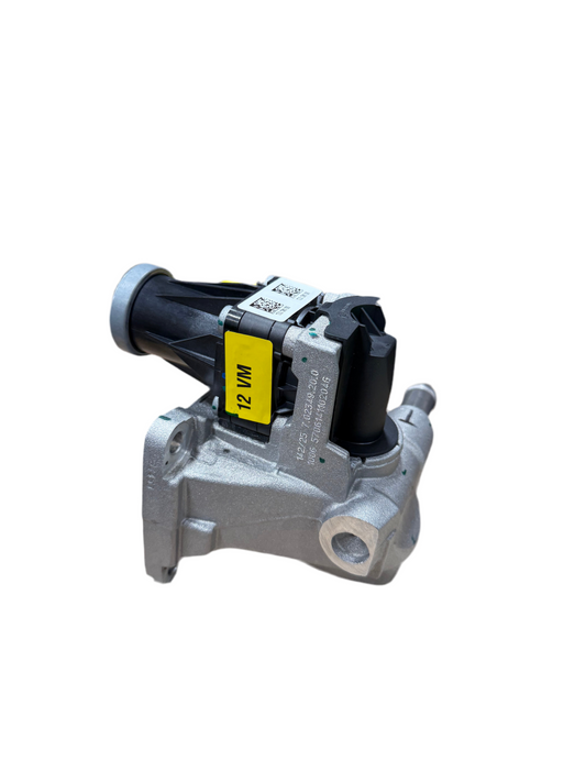 EGR VALVE ASSY BS6